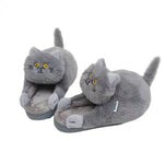 Chausson chat homme