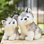 Peluche chien kawaii, chiot husky