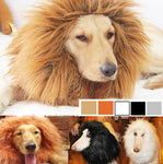 Crinière de lion pour chien
