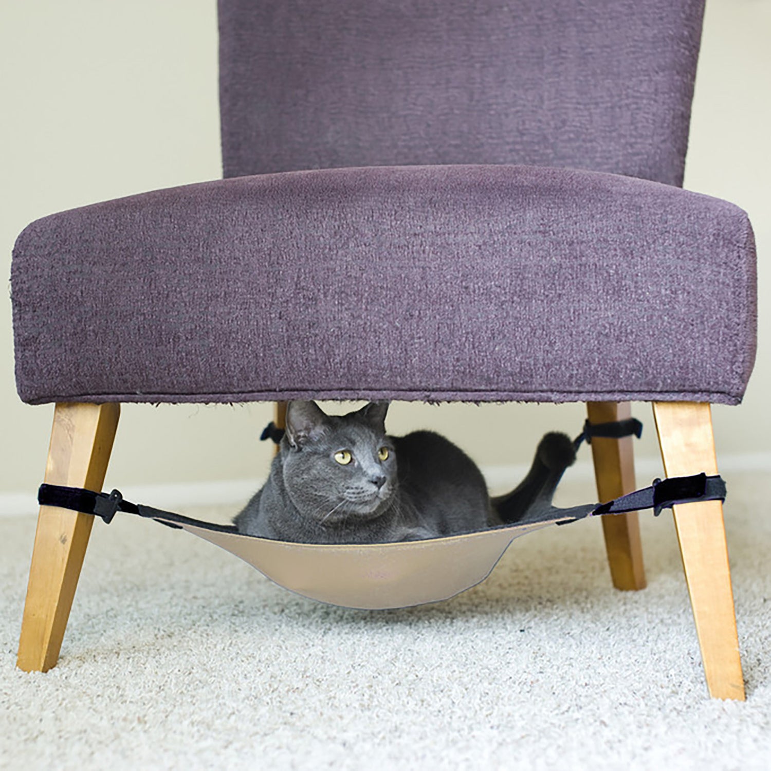 hamac pour chat sous chaise